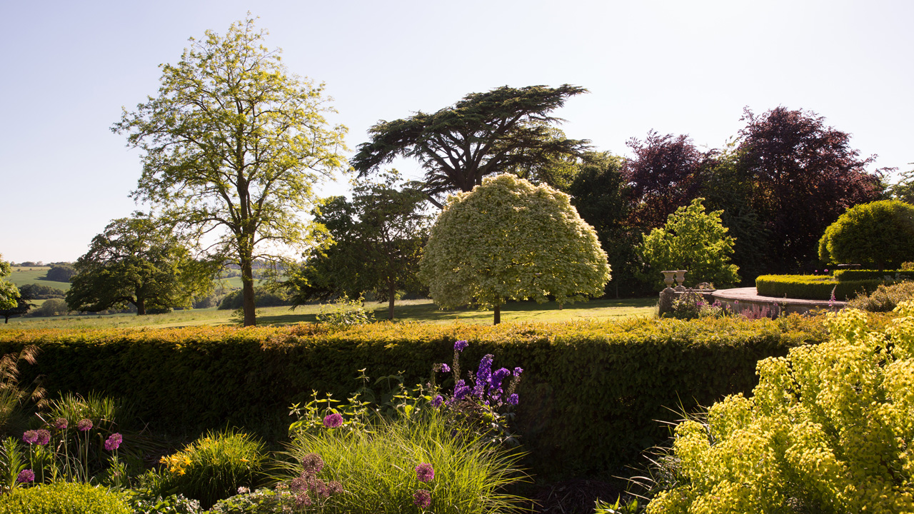 Lyndon Hall Gardens, Westerly View